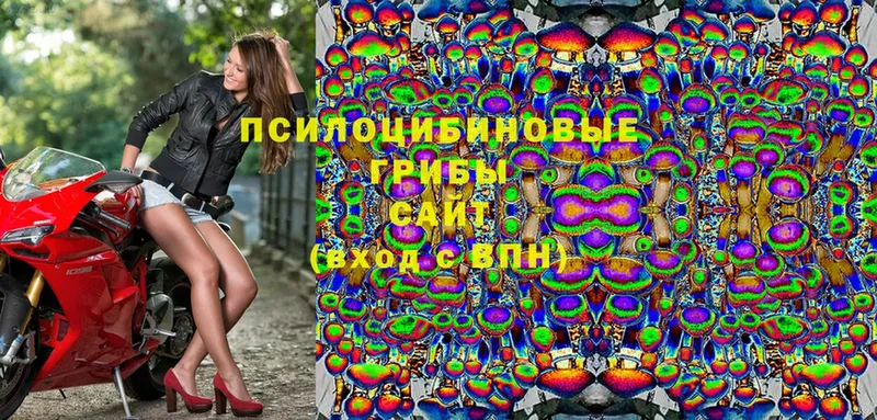 Псилоцибиновые грибы Psilocybine cubensis  shop наркотические препараты  Ветлуга  купить  цена 